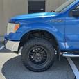 2010 Ford F-150 thumbnail image 4