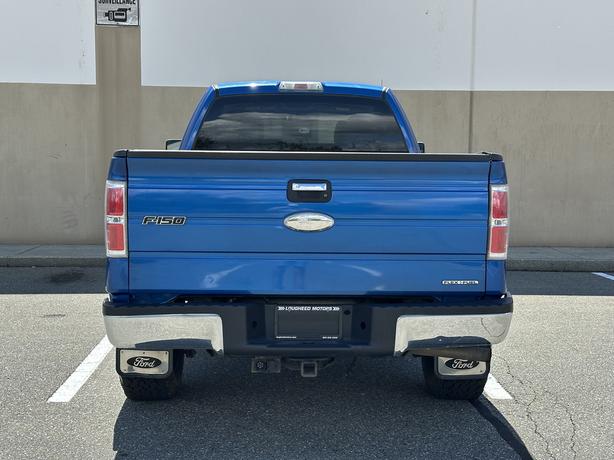 2010 Ford F-150 image 7