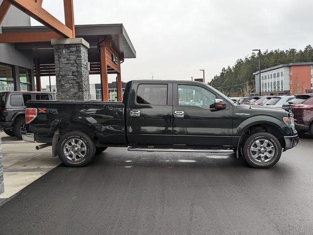 2014 Ford F-150 XLT -  5.0L V8, 4x4, Crew Cab, Standard Box image 5