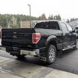 2014 Ford F-150 XLT -  5.0L V8, 4x4, Crew Cab, Standard Box thumbnail image 6