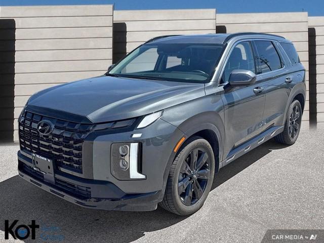 2025 Hyundai Palisade Urban demo display photo