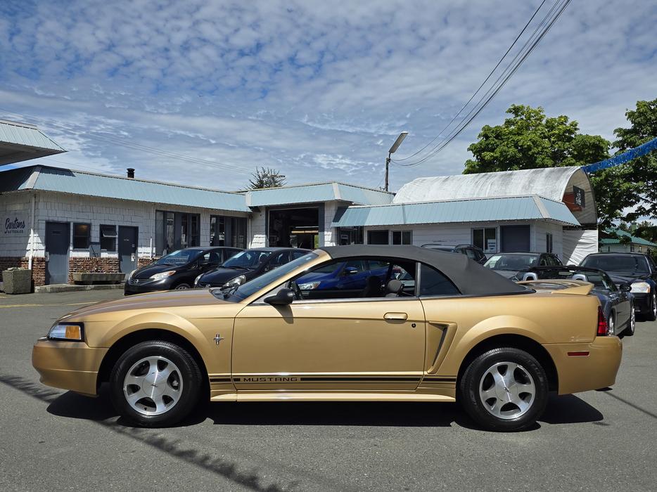 2000 Ford Mustang display photo