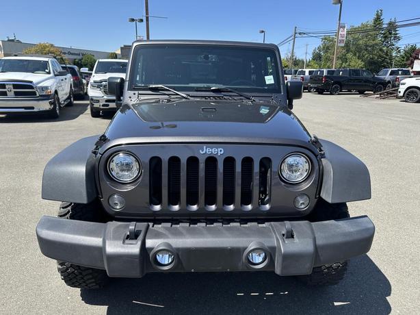 2017 Jeep Wrangler Rubicon image 8