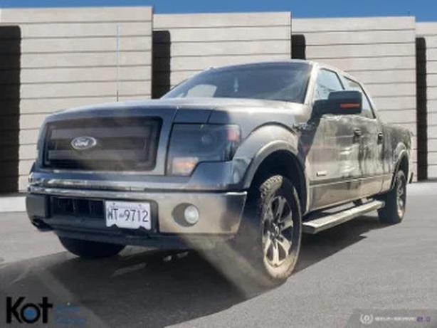 2014 FORD F-150 image 6