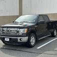 2013 Ford F-150 thumbnail image 3