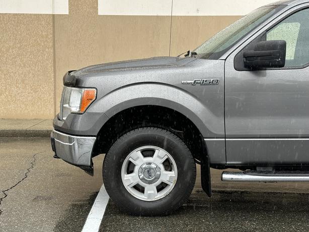 2013 Ford F-150 image 4