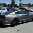 2022 Ford Mustang EcoBoost Premium RWD - Compass &  Camera Rear thumbnail image 6