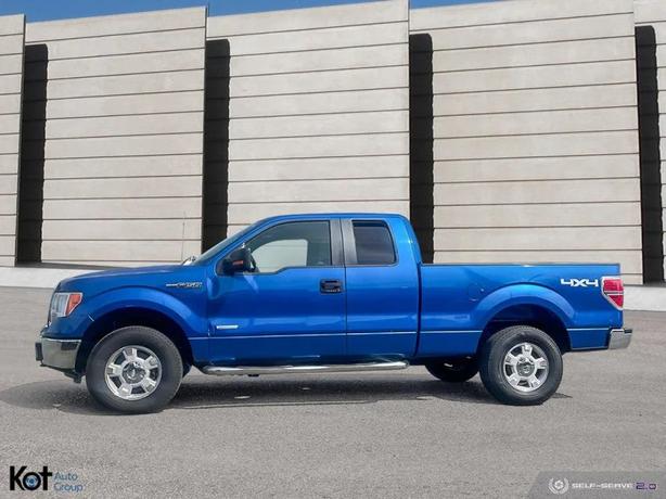 2013 FORD F-150 image 3