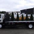 2017 Isuzu NPR 16 Foot Flat Deck Dually 3 Seater thumbnail image 6