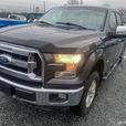 2016 FORD F-150 thumbnail image 8