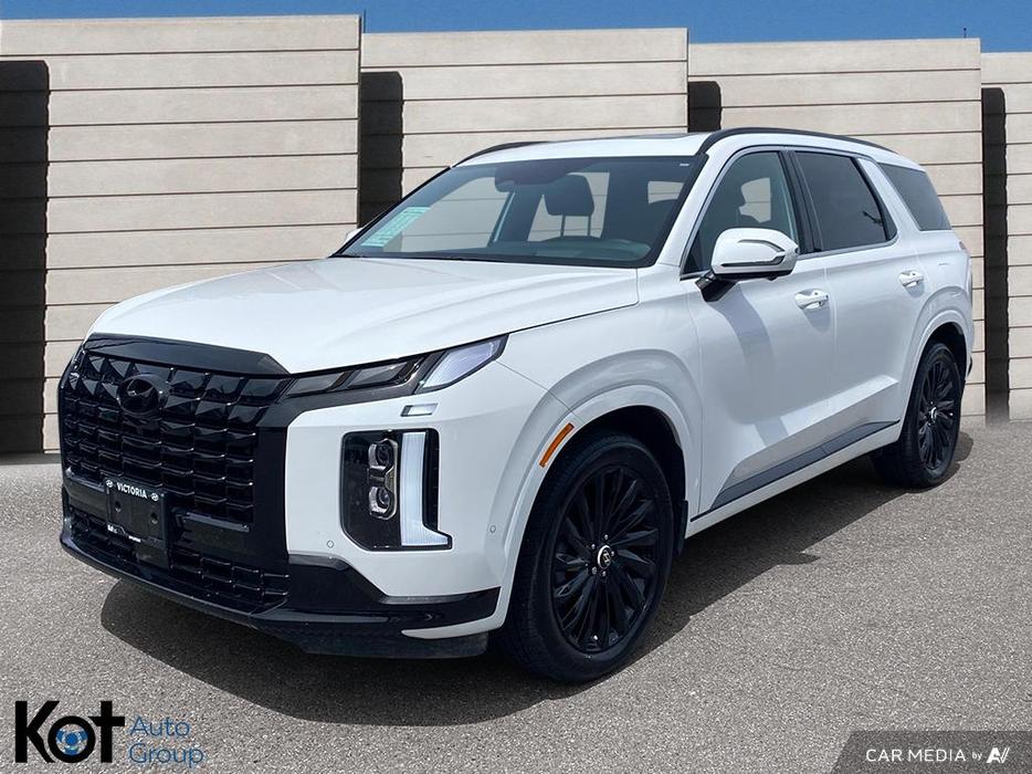 2025 Hyundai Palisade ULTIMATE CALLIGRAPHY NIGHT display photo
