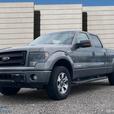 2014 FORD F-150 thumbnail image 1