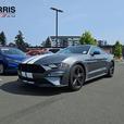 2022 Ford Mustang GT Premium Fastback | No Reported Accidents! thumbnail image 1