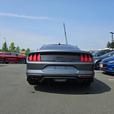 2022 Ford Mustang GT Premium Fastback | No Reported Accidents! thumbnail image 5