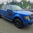 2013 Ford  F-150 FX4 thumbnail image 1