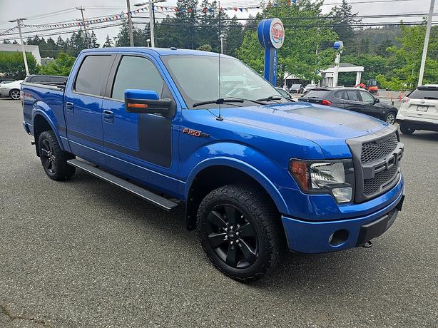 2013 Ford  F-150 FX4 image 1