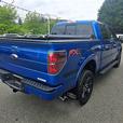 2013 Ford  F-150 FX4 thumbnail image 2