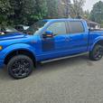 2013 Ford  F-150 FX4 thumbnail image 3