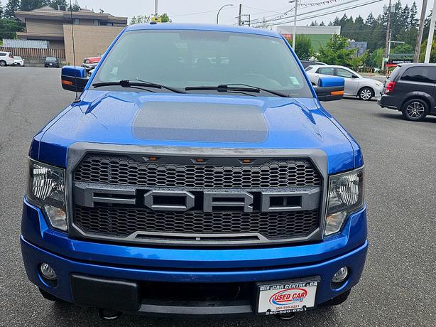 2013 Ford  F-150 FX4 image 5