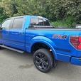 2013 Ford  F-150 FX4 thumbnail image 7