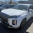 2025 Hyundai Palisade ULTIMATE CALLIGRAPHY thumbnail image 2