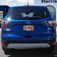 2017 Ford Escape SE | Heated Seats! thumbnail image 5