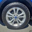 2017 Ford Escape SE | Heated Seats! thumbnail image 6