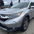 2019 Honda CR-V Ex-L thumbnail image 3