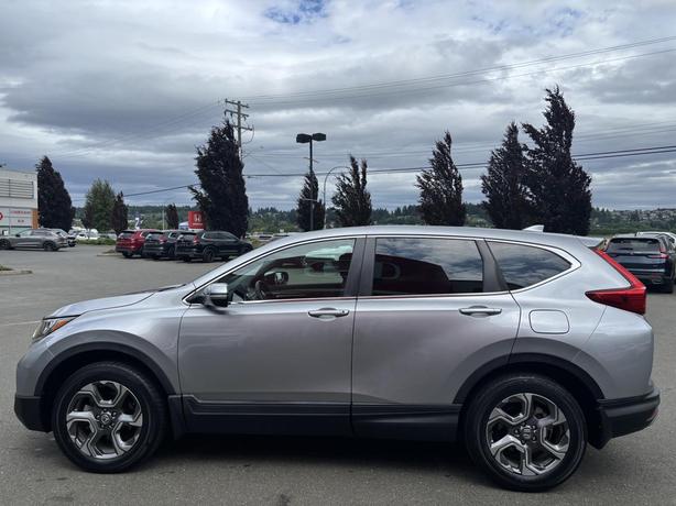 2019 Honda CR-V Ex-L image 4