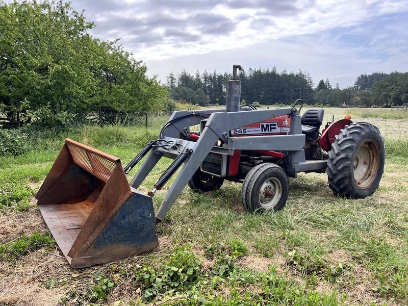1976 Massey Ferguson 245 display photo