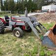 1976 Massey Ferguson 245 thumbnail image 2