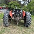 1976 Massey Ferguson 245 thumbnail image 6