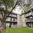 1 bedroom Cedartree Village thumbnail image 4
