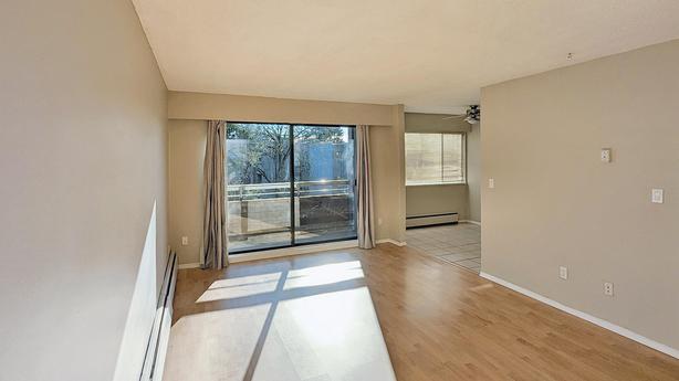 2 bedroom Pacific Park Apartments image 3