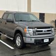 2013 Ford F-150 thumbnail image 1