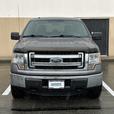 2013 Ford F-150 thumbnail image 2
