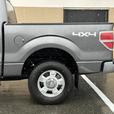 2013 Ford F-150 thumbnail image 5