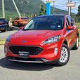 2020 Ford Escape Hybrid - Heated Seats, Heated Wheel, Moonroof thumbnail image