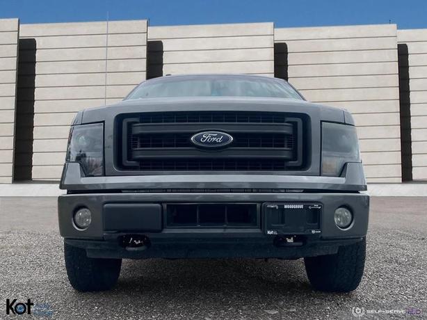2014 FORD F-150 image 2