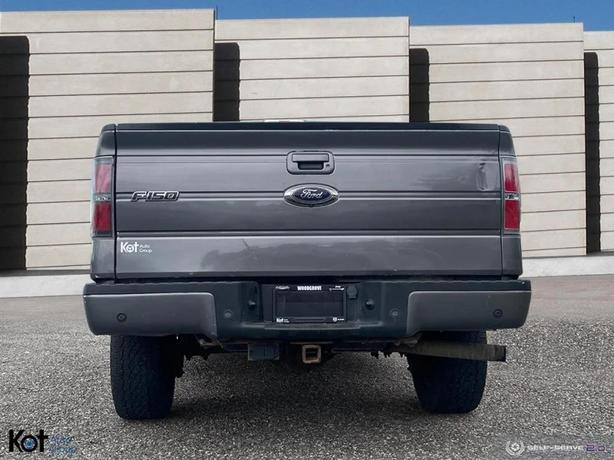 2014 FORD F-150 image 5