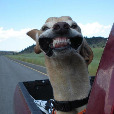 user_1070066 profile image