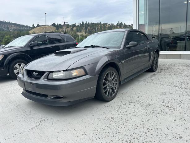 2003 Ford Mustang GT image 1