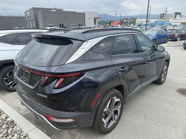 2022 Hyundai Tucson Hybrid LUXURY image 4