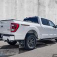 2023 Ford F-150 Tremor | 5'5 Box | 3.5L V6 EcoBoost | Built Ford Tough | Loaded! thumbnail image 5