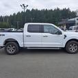 2022 Ford F-150 XLT - 4WD, Heated Seats thumbnail image 5