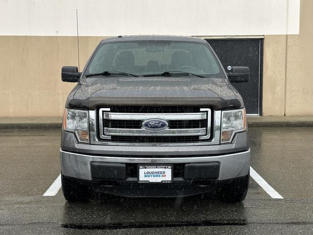2013 Ford F-150 image 2