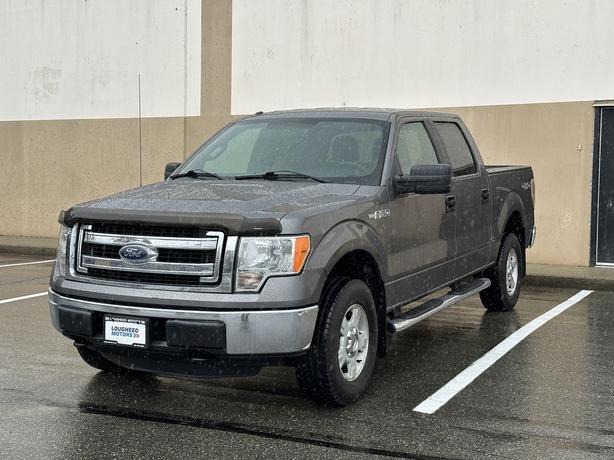 2013 Ford F-150 image 3