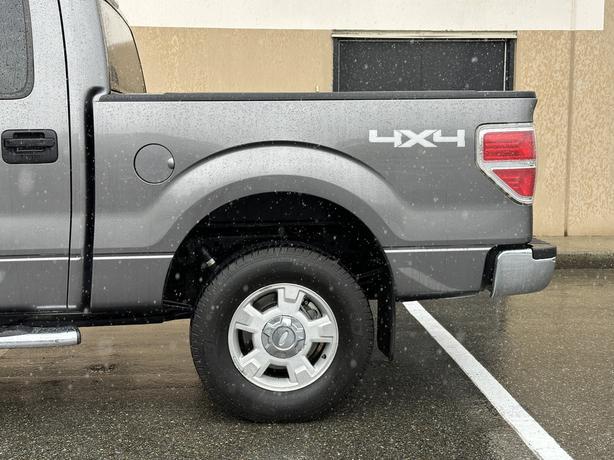 2013 Ford F-150 image 5