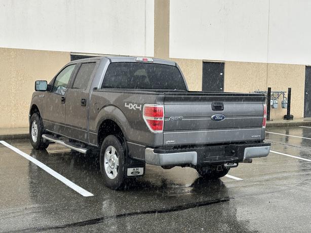 2013 Ford F-150 image 6