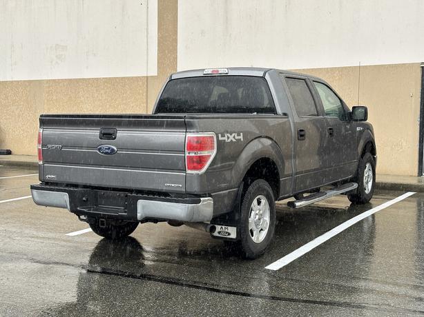 2013 Ford F-150 image 8